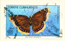TURKEY  -  1988  Butterflies  600l  Used As Scan - Used Stamps