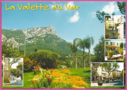 LA VALETTE DU VAR - Mont Coudon   / L70 - La Valette Du Var