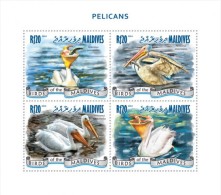 Maldives. 2014 Pelicans. (910a) - Pelícanos