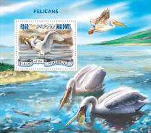 Maldives. 2014 Pelicans. (910b) - Pelícanos