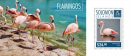 Solomon Islands. 2014  Flamingos. (703b) - Flamants