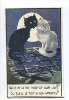 CPA TRES JOLIE CARTE SIGNEE RIGHT COUPLE CHAT TOIT RUINE CAT LUNE - Right