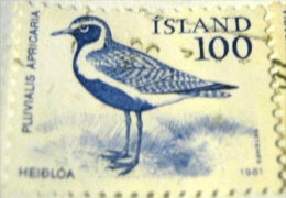 Iceland 1981 Pluvialis Apricaria Golden Plover Bird 100aur - Used - Usados