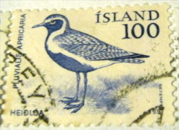 Iceland 1981 Pluvialis Apricaria Golden Plover Bird 100aur - Used - Oblitérés