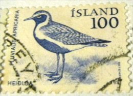 Iceland 1981 Pluvialis Apricaria Golden Plover Bird 100aur - Used - Gebraucht