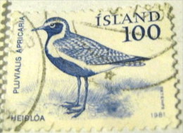 Iceland 1981 Pluvialis Apricaria Golden Plover Bird 100aur - Used - Gebraucht