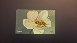 Brasil- Serie Artitas Regiinais-flores- Number 6/6-used Card - Api