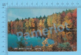 Gaspé ( Vue Du Lac Mont Louis,  Postcard Carte Postale  ) P. Quebec Recto/Verso - Gaspé