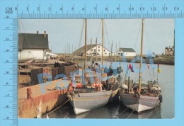 Gaspé (Péninsule Bateaux De Pêche à L'anse Au Beaufils, Postcard Carte Postale  ) P. Quebec Recto/Verso - Gaspé