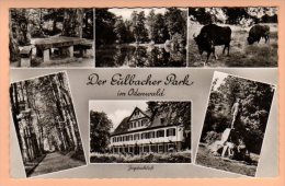 Michelstadt - S/w Der Eulbacher Park - Michelstadt