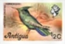 ANTIGUA 1976 Humming-bird ½c. No Imprint IMPERF.     [non Dentelé,Geschnitten,no Dentado,non Dentellato,ongetande] - Hummingbirds
