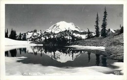 236001-Washington, Rainier National Park, RPPC, View From Chinook Pass, Ellis Photo No 551 - USA National Parks
