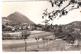 Frontenex (Gresy-Sur-Isère-Albertville-Savoie)-Vue Du Vollage-Pic De La Belle Etoile-Verger-Flamme Chambery- Timbre 1957 - Gresy Sur Isere