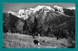 74 Plateau D' Assy Paturage De Plaine Joux Et Le Mont Blanc - Autres & Non Classés