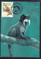 Brazil - Post Card / Maxi Card - 1994 - Monkeys, Saguinus  Bicolor - Briefe U. Dokumente