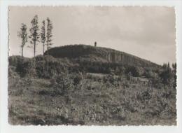 Ansichtskarte Der Scheibenberg - Scheibenberg