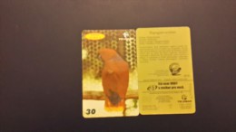 Brasil-serie Aves 2-papagaio-ecletus-5/10-used Card - Parrots