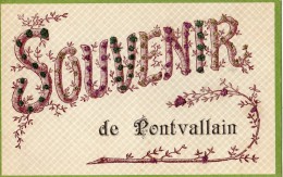 SOUVENIR DE PONTVALLAIN CARTE PAILLETTE - Pontvallain