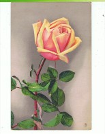 CPA-FANTAISIE-FLEURS -1 ROSE-RAPHAEL TUCK- - Tuck, Raphael