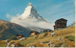 ZERMATT   WINKELMATTEN  MIT  MATTERHORN               (VIAGGIATA) - Matten Bei Interlaken