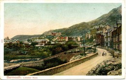 GWYNEDD - BARMOUTH - LLANABER ROAD  1904 Gwy237 - Merionethshire