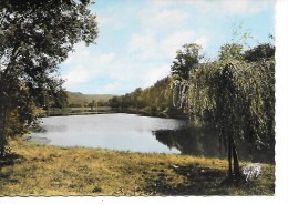 BUC - L'Etang De La Geneste - Buc