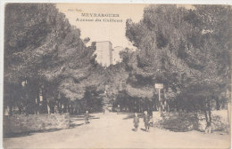 13 // MEYRARGUES   Avenue Du Chateau  A NIMEE - Meyrargues