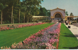 Largest Outdoor Organ In The World Balboa Park San Diego California Selithco - San Diego