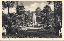 Bad Pyrmont - Palmengarten Mit Poststempel Zur Herbstkur Nach Bad Pyrmont (1934) - Bad Pyrmont