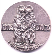 PAPA PAOLO VI ANNO SANTO 1975 MEDAGLIA STRAORDINARIA SS APOSTOLI ARGENTO - Royaux/De Noblesse