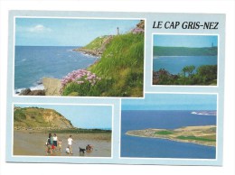 CPM - LE CAP GRIS NEZ (62) La Baie De WISSANT, La Plage, Vue Aérienne Des Caps Gris-Nez Et Blanc-Nez (animée) - Wissant