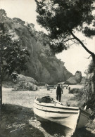 LA CIOTAT(BOUCHES DU RHONE) FIGUEROLLES - La Ciotat