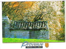 Lot 40 CPM Provence Neuves Identiques Cabanon En Pierres Et Cerisiers En Fleurs - 5 - 99 Postkaarten