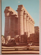 Luxor, General View Of The Temple Of Karnak - Luxor