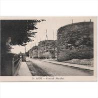 LGOTP8264-LFTD4181.Tarjet A Postal De LUGO.ARTE.Escultura,BUSTO Y Murallas Romanas De.Lugo. - Lugo