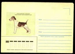 Hunting Dog Fox Terrier Foxterrier Fox-terrier On Russia USSR Mint Cover From 1985 - Dogs