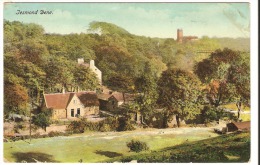 Jesmond Dene - Newcastle-upon-Tyne