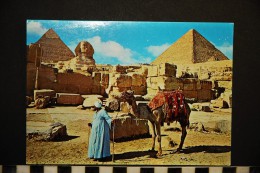 EGYPTE  GIZA THE GREAT SPHINX AND KEOPS PYRAMID ANIMEE - Gizeh