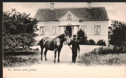 DB3408 - SMEDBY - HASTORPS GARD - MAN WITH A HORSE - Suède