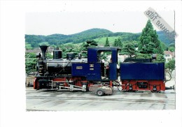 Suisse Schinznach Argovie - TRAIN LOCOMOTIVE 031 à Tender Séparé - - Schinznach 