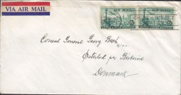 United States "Via Airmail" Label NEW YORK 1948 Cover Lettre To ØSTERLED Pr. BIRKERØD Denmark - 2c. 1941-1960 Lettres