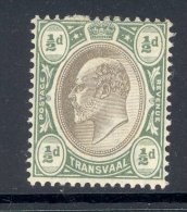 TRANSVAAL, 1904 ½d (wmk Mult. Crown CA) Very Fine MM, Cat £11 - Transvaal (1870-1909)