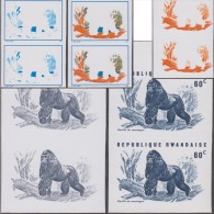 Rwanda 1970 Y&T 372. Essais De Couleurs, Gorille Des Montagnes. Singes, Arbres - Gorilas