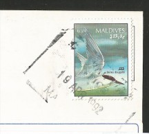 MALDIVES The Diver's Paradise Empress Angelfish Kula Kokaa Pfauenkaiserfisch 1992 - Maldivas