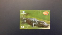 Brasil-dois Irmaos- JACARE-DE- PAPO-AMARELO-7/10-used Card - Cocodrilos Y Aligatores