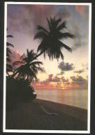 MALDIVES Alimatha 1989 - Maldivas