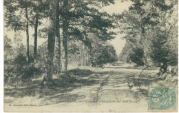 CP 28 Foret De Chateauneuf  En Thymerais Perpective De L ´allee Royale  1907 - Châteauneuf