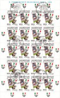 Italië, Juventus, Campione D'Italia 1996-1997 (E00018) - Gebruikt