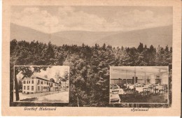 DEUTSCHLAND - OBERURSEL I. TAUNUS : Gasthof Und Kaffee Hohemark, Speisesaal, Waldpanorama - Oberursel