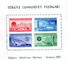 TURQUIE : BF N° 4 ** - Blocks & Kleinbögen